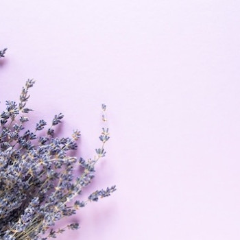 Лаванда