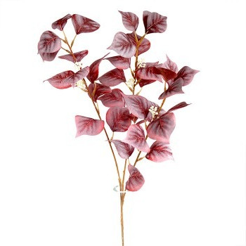 Листя пальми