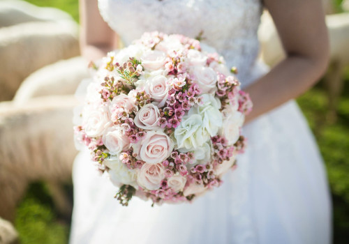 Стаття блогу